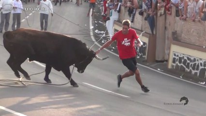 TOUROS CORREM NAS ESTRADAS