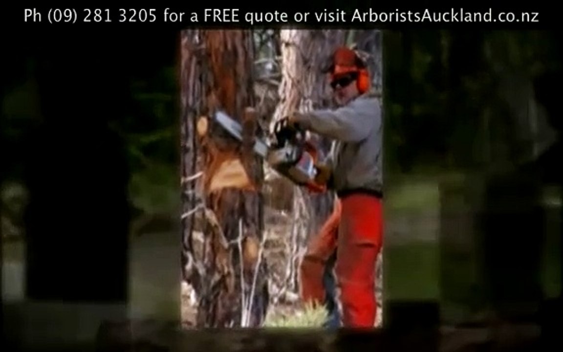 Tree Services North Shore
