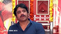 Nagarjuna To Follow Venkatesh Strategy (telugu)