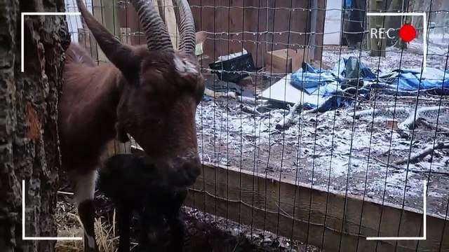 Aflevering 1325 - maandag 4 februari 2019