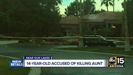 Teen  arrested in murder of aunt in Sun Lakes