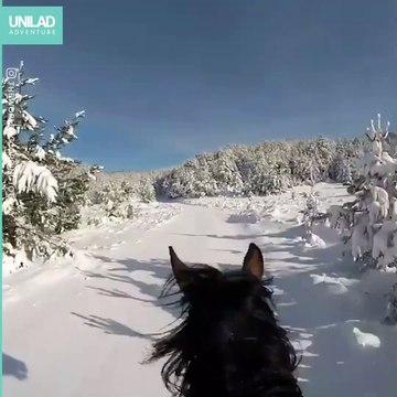 Riding down snowy lanes in Bosnia ❄️ Luxury Video