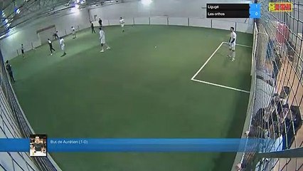 But de Aurélien (1-0) - Ligugé Vs Les orthos - 04/02/19 21:00 - Ligue A - Poitiers Game Parc