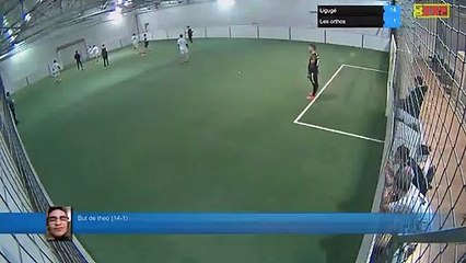 But de theo (14-1) - Ligugé Vs Les orthos - 04/02/19 21:00 - Ligue A - Poitiers Game Parc