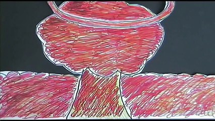 Muller-Jules Verne-2019