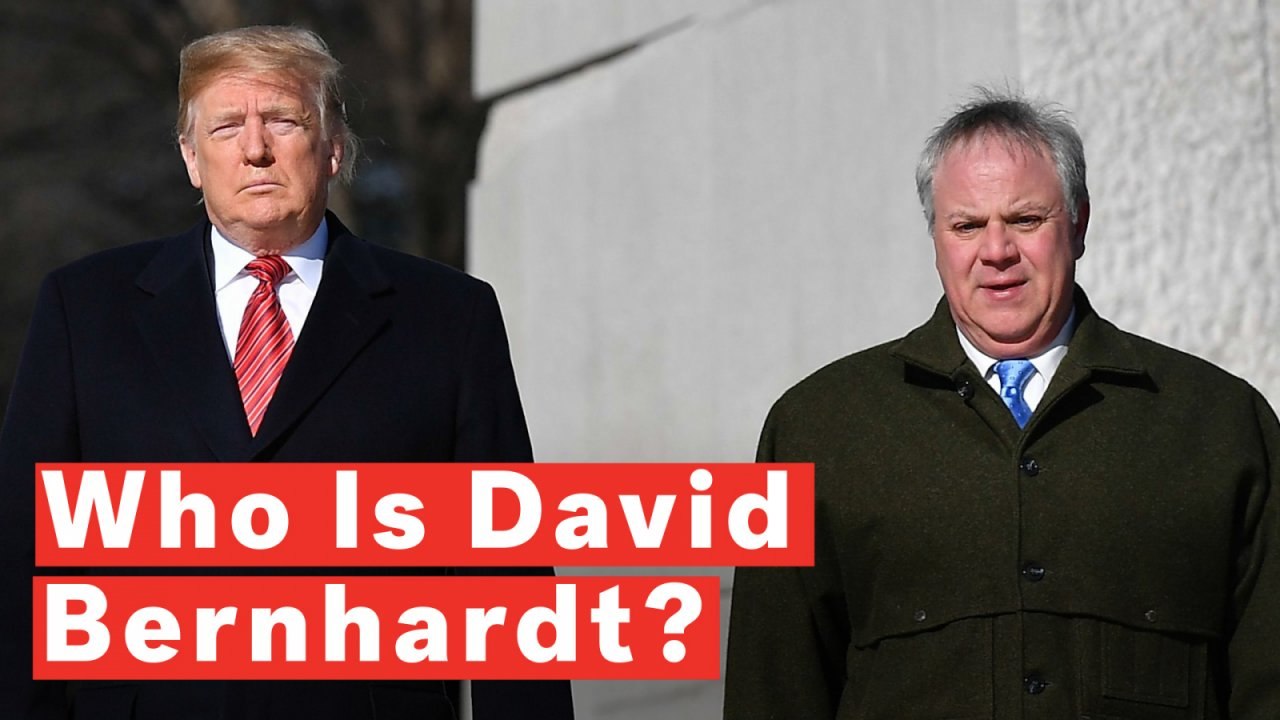Who Is David Bernhardt?