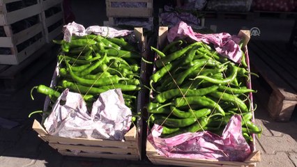 'Sebze fiyatları artık normal seviyelerine iniyor' - ŞANLIURFA