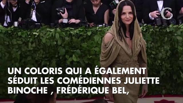 PHOTOS. Globes de Cristal 2019 : Salma Hayek, Alexandra Lamy, Juliette Binoche... un tapis rouge de stars très élégantes