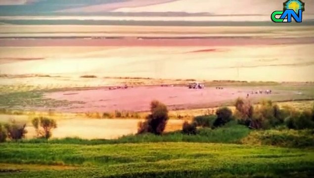 DİYARBAKIR DİYARBEKİR AMED BELGESELİ