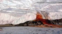 What's Up With This Bleeding Glacier in Antarctica?