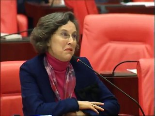 HDP’li Kerestecioğlu: Askerler ölür, gençler ölür siz rahat koltuklarınızdan konuşursunuz!