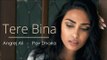 Tere Bina - Without You - Teaser - Angrej Ali - Pav Dharia - New Punjabi Songs 2015