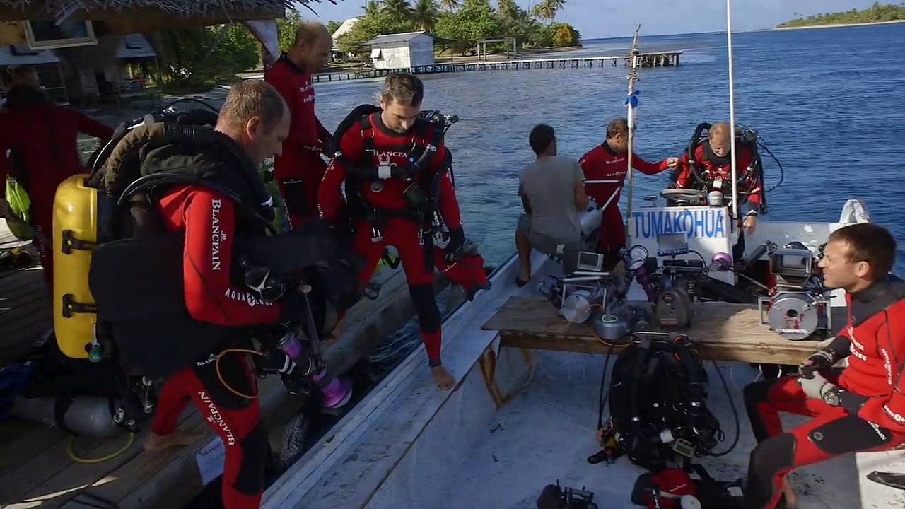 700 requins dans la nuit