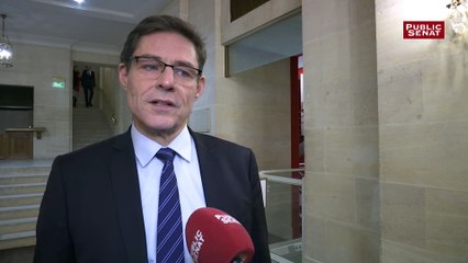 Download Video: « Une grande partie » du groupe LR au Sénat votera contre la privatisation d'ADP, annonce Dallier