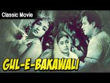 Gul-E-Bakawali 1963 | Hindi Full Movie | Classic Hindi Movie | Nishi, Jairaj, Sunder | Jugal Kishore