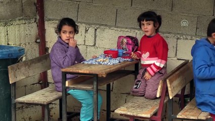 Hatay'da öğrenciler 'kedi evi' yaptı