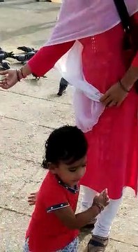 little girl enjoying with playing birds