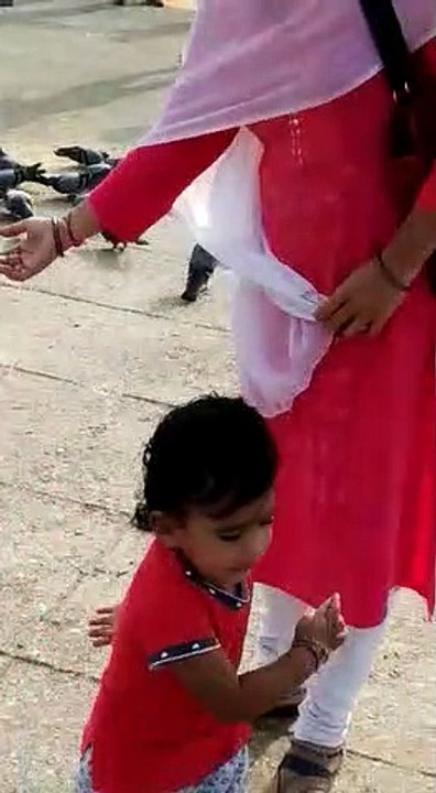 little girl enjoying with playing birds