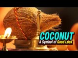 Coconut - A Symbol of Good Luck | | ARTHA | AMAZING FACTS