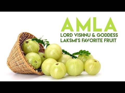 Amla - Lord Vishnu and Goddess Lakshmi’s favorite fruit | Diwali 2017 | ARTHA | AMAZING FACTS