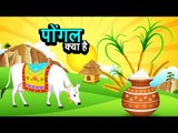 पोंगल क्या है | पोंगल 2017 स्पेशल | अर्था । आध्यात्मिक विचार