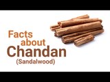 Facts about Chandan (Sandalwood)  | ARTHA | AMAZING FACTS