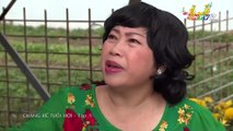 Chàng Rể Tuổi Hợi Tập 1 - Phim tết - Phim Hài