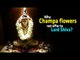 Why Champa Flowers Not Offer To Lord Shiva?  Artha | AMAZING FACTS