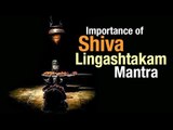 Importance of Shiva Lingashtakam Mantra  | Artha | AMAZING FACTS