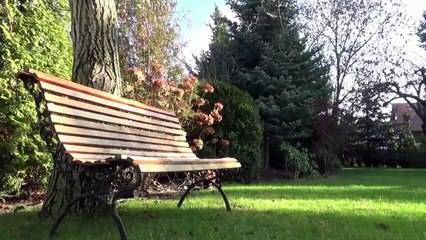 Ronda (puccini noturno)