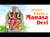 Unknown Facts of Goddess Manasa Devi  | Naag Panchami 2017  | Artha | AMAZING FACTS