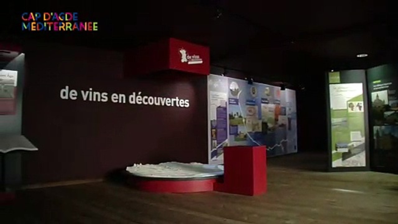 Espace de vins en découverte