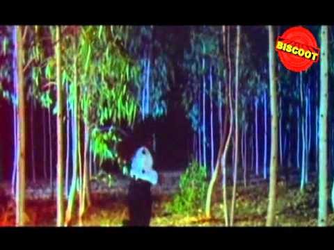Sthree – ಸ್ತ್ರೀ (1996) || Watch Full Kannada Movie || Feat.Shruthi, Shashikumar, Sithara