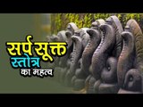 सर्प सूक्त स्तोत्र का महत्व | Sarpa Suktam | अर्था । आध्यात्मिक विचार