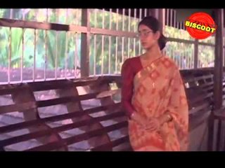 Varnapakittu (വർണ്ണപ്പകിട്ട്) Malayalam Movie (1997) | Mohanlal, Meena, Divya Unni
