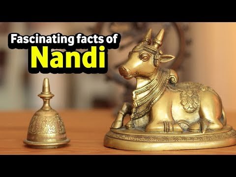 Fascinating facts of Nandi | Shiva's Nandi Bail | Artha | AMAZING FACTS