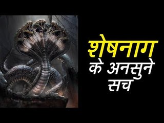 शेषनाग के अनसुने सच | Sheshnaag Ke Rahasya | Naago ke Raja ke ankahe sach | अर्था