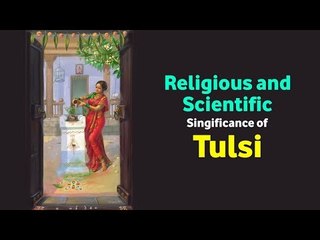 Religious and Scientific Singificance of Tulsi | Goddess Lakshmi Avatar | Tulsi Leaves Benefit