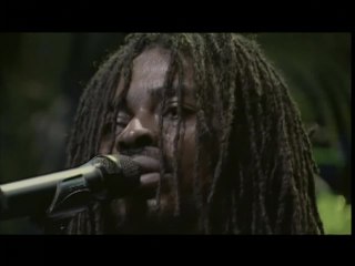 Seu Jorge - América Do Norte