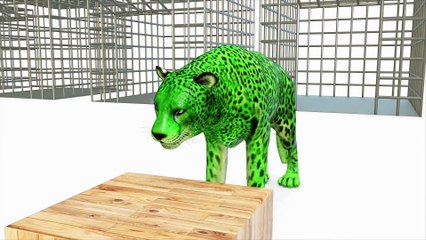 Learn Colors Cream And Learn Sports ball With Water Sliders for Kids cartn Songs For Children