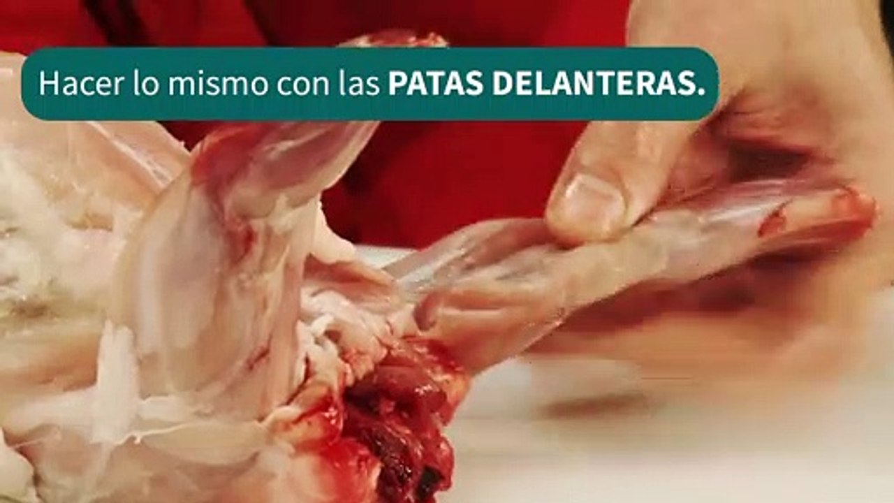 como despiezar un conejo