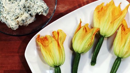 courgette flowers