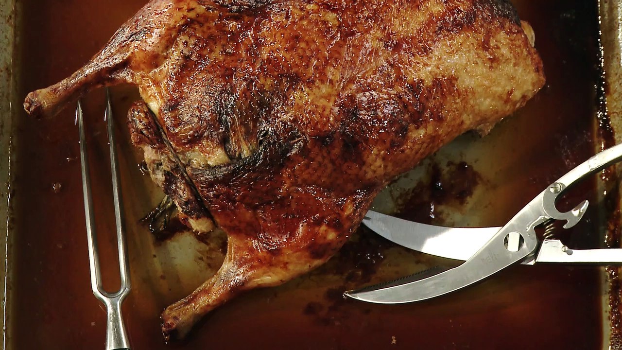 carving duck