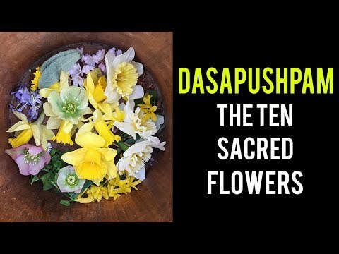 Dasapushpam - The Ten Sacred Flowers | Top 10 herbs that used in Ayurveda | Artha - Amazing Facts
