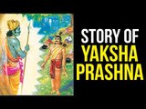 Story of Yaksha Prashna | The finest situation of Mahabharata | Artha - Amazing Facts