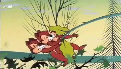 Donald Duck and Chip & Dale Best Episodes Compilation | Disney Best Cartoon Episodes for Kids