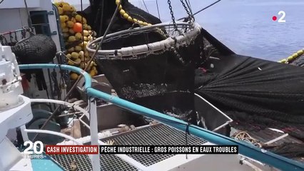 "Cash Investigation" : les dérives de la pêche industrielle