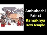 Ambubachi Fair at KAMAKHYA DEVI Temple | Artha