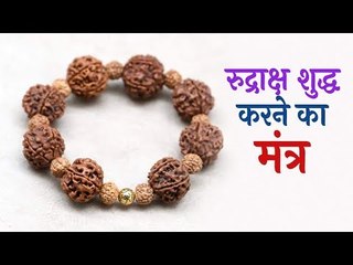 रुद्राक्ष शुद्ध करने का मंत्र | Artha