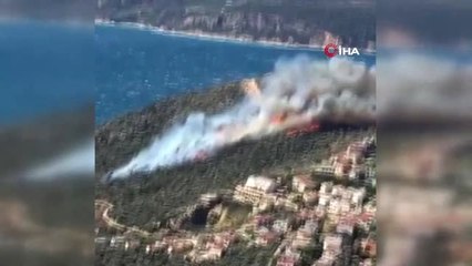 Kaş'ta Zeytinlik Alanda Yangın